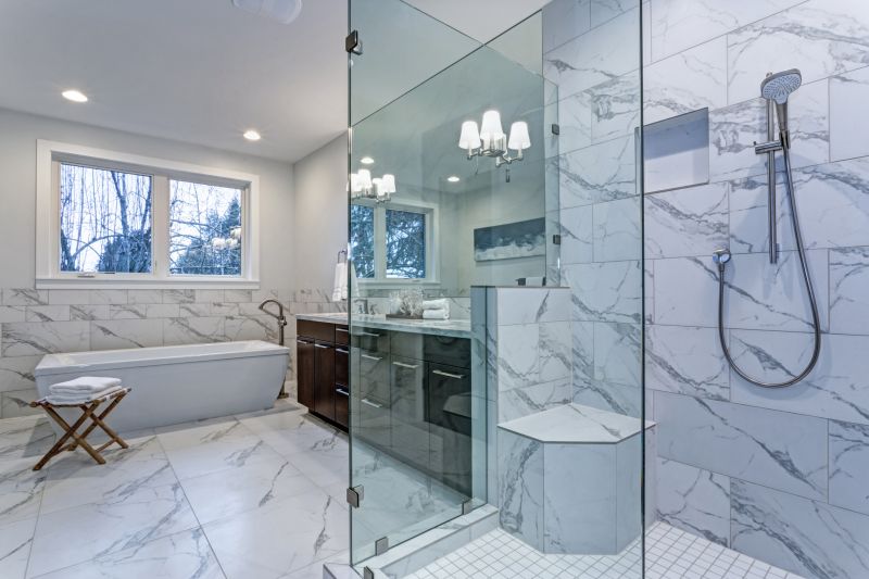 Master Bathroom Renovations